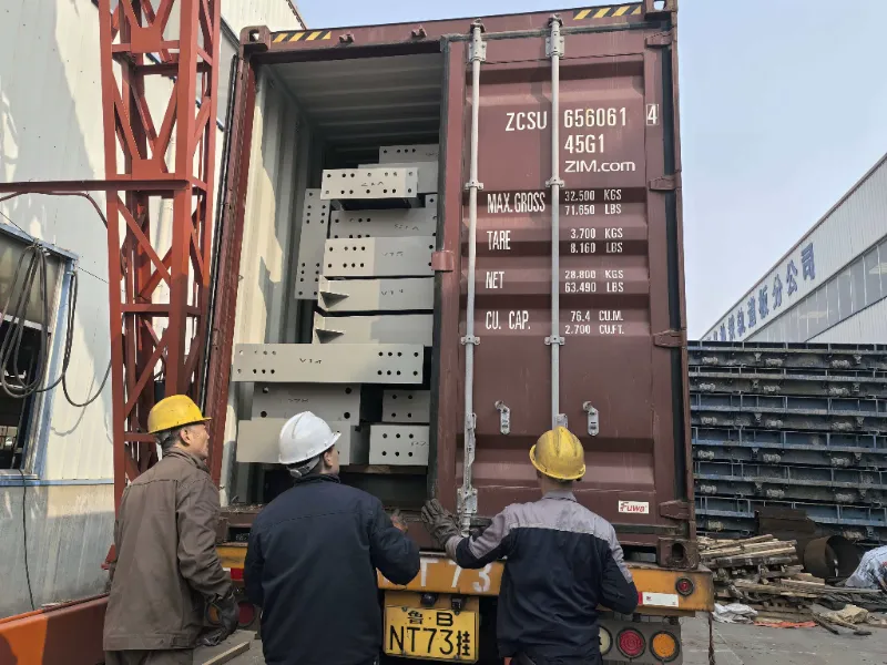 Componente de structură de oțel pentru un proiect de depozit de oțel la scară largă în Chile, expediate cu succes, susținând construcția centrului logistic local